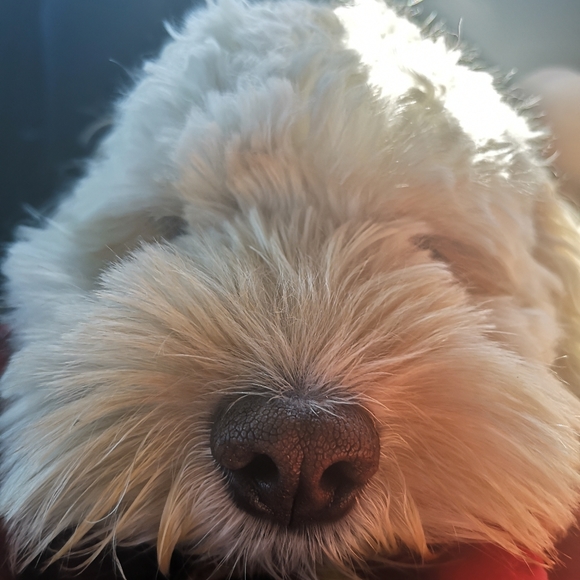 Meet your Posher, Jessica - Picture 1 of 1